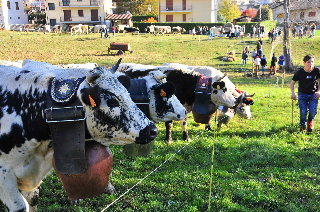Pomaretto festeggia il vino Ramìe